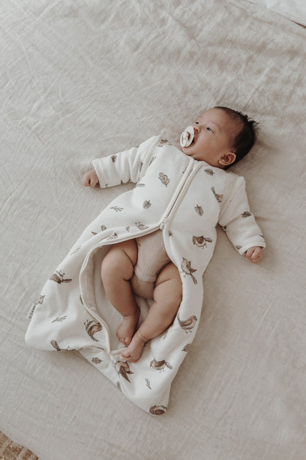 Saco de Dormir Meyco Baby Robin Con Mangas Desmontables Multicolor