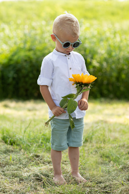 Gafas de sol Baby Dutch Baby Gris