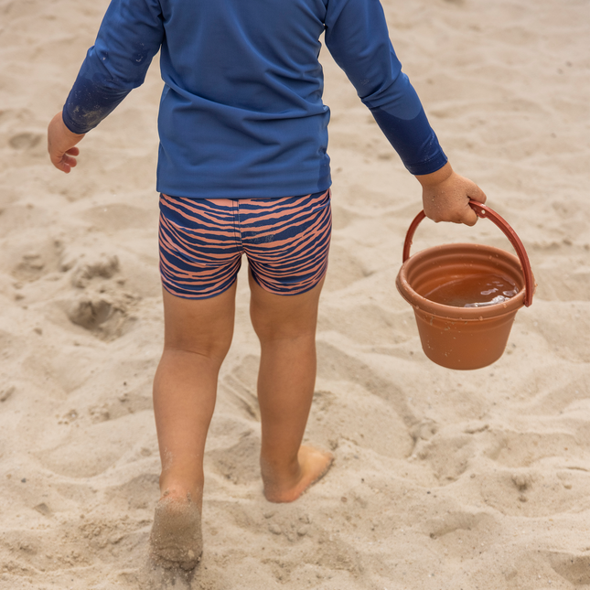 Traje de baño Essentials Niño Cebra Azul/Naranja