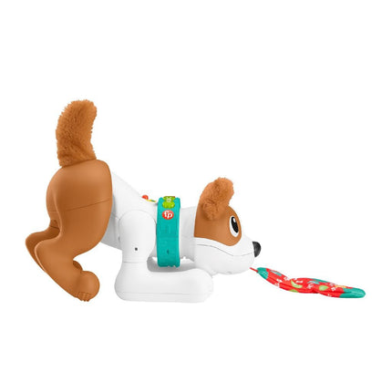 Fisherprice 123 Kruip Met Mij Puppy - Babywinkel - 0194735068159